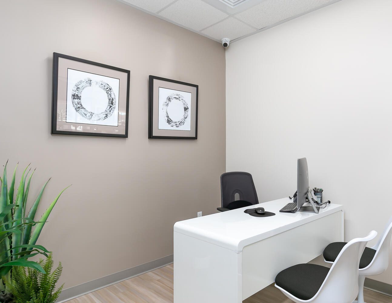 Modern office with desk and plant decor.